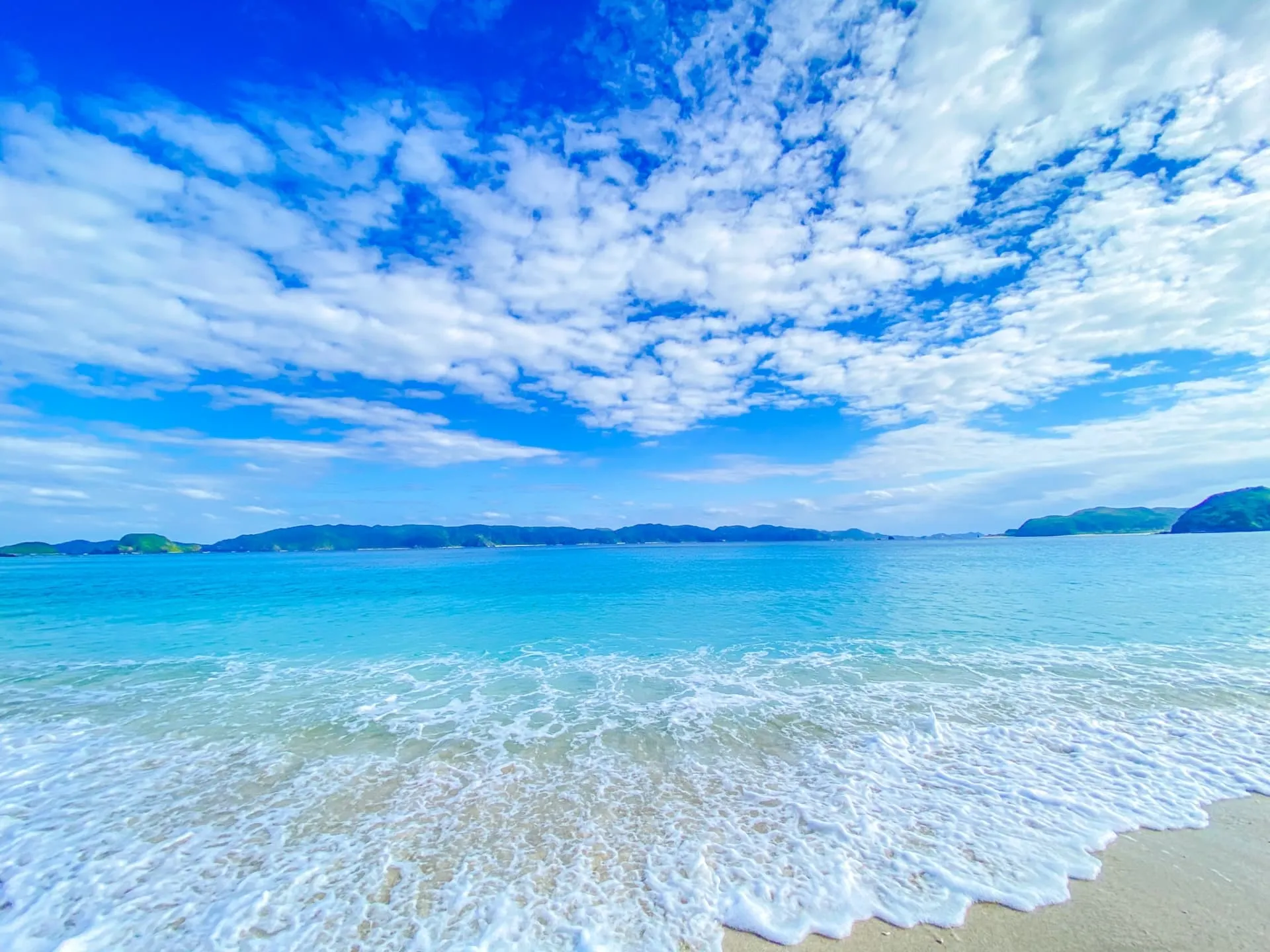 正宏商事 株式会社イメージ画像